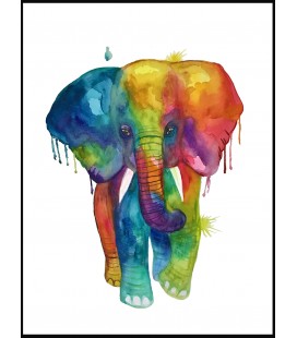Elephant in colors