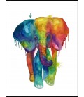 Elephant in colors